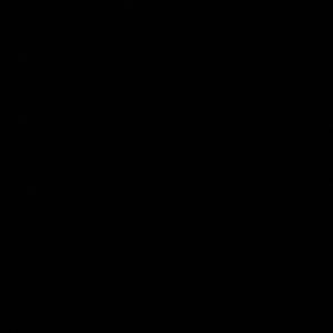 Meet your Posher, Alison